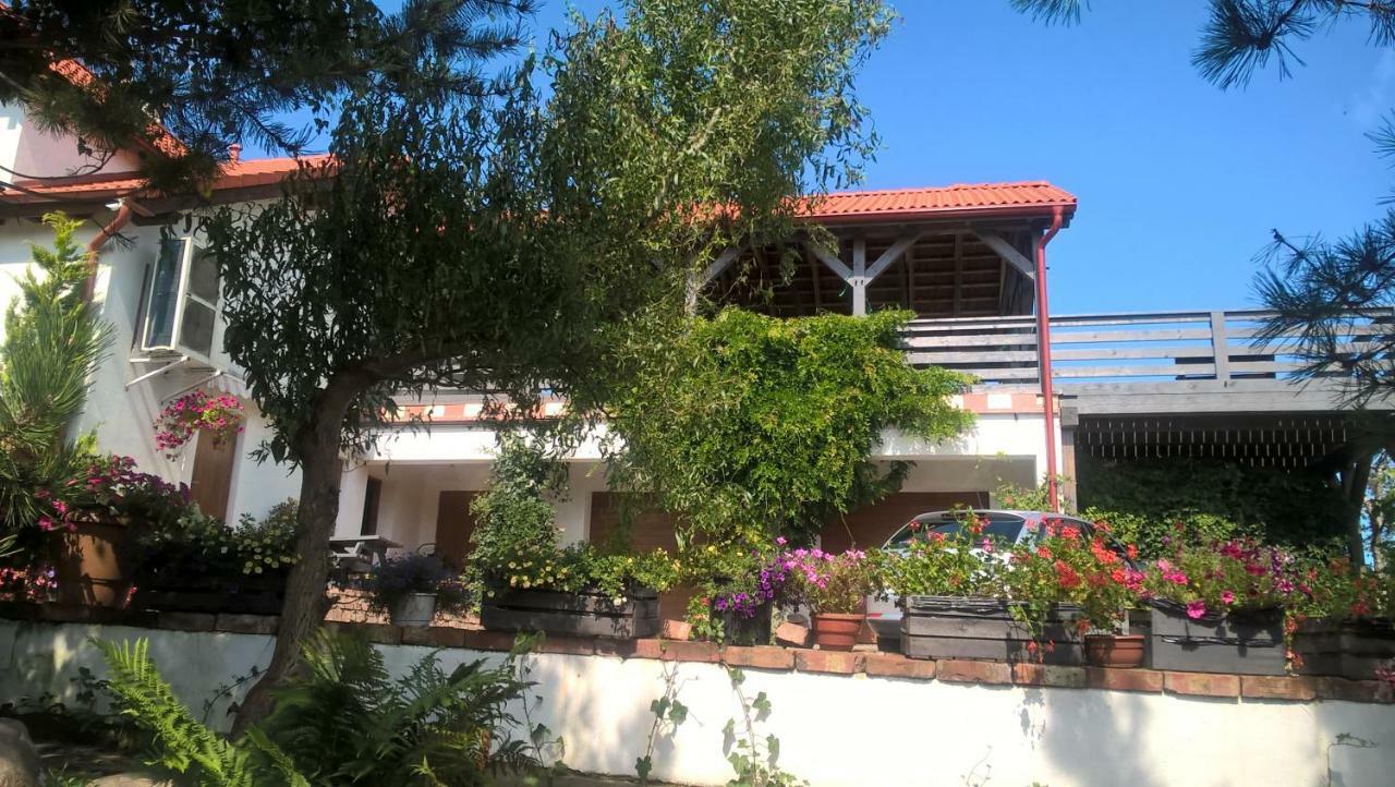 Ferienwohnung Kamien Baltyku Debina  Exterior foto