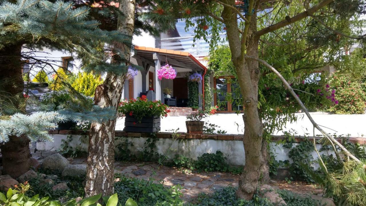 Ferienwohnung Kamien Baltyku Debina  Exterior foto